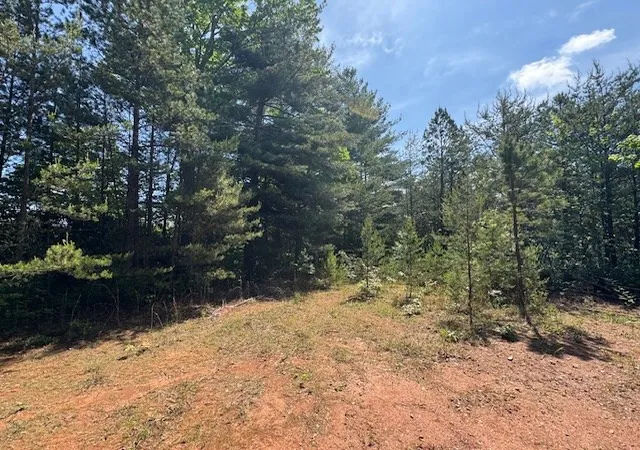 Homes for sale in Marble, NC | Lot 9 Paradise, Marble, NC 28905 | MLS# 98543707