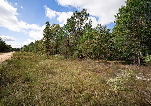 Homes for sale in Waynesboro, GA | Lot 11 Marie Vann Rd, Waynesboro, GA 30830 | MLS# 98224700