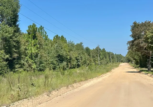 Homes for sale in Waynesboro, GA | Lot 11 Marie Vann Rd, Waynesboro, GA 30830 | MLS# 98224700