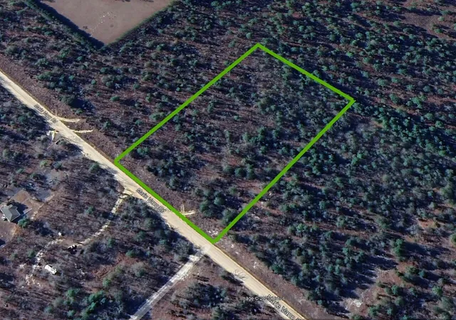 Homes for sale in Waynesboro, GA | Lot 11 Marie Vann Rd, Waynesboro, GA 30830 | MLS# 98224700