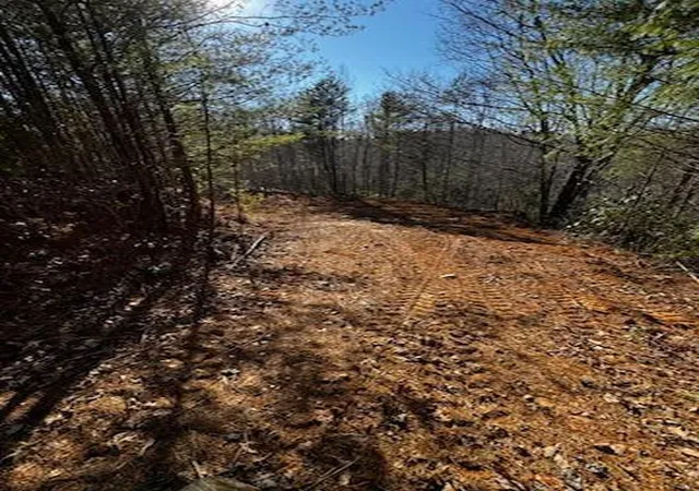 Homes for sale in Marble, NC | Lot 16 Paradise, Marble, NC 28905 | MLS# 98543706