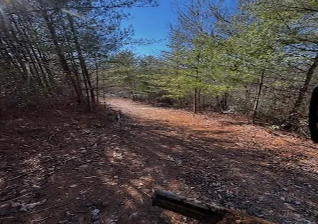 Homes for sale in Marble, NC | Lot 16 Paradise, Marble, NC 28905 | MLS# 98543706