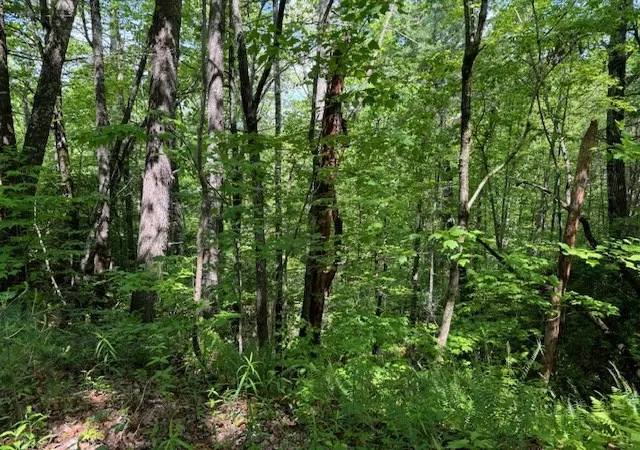 Homes for sale in Marble, NC | Lot 16 Paradise, Marble, NC 28905 | MLS# 98543706