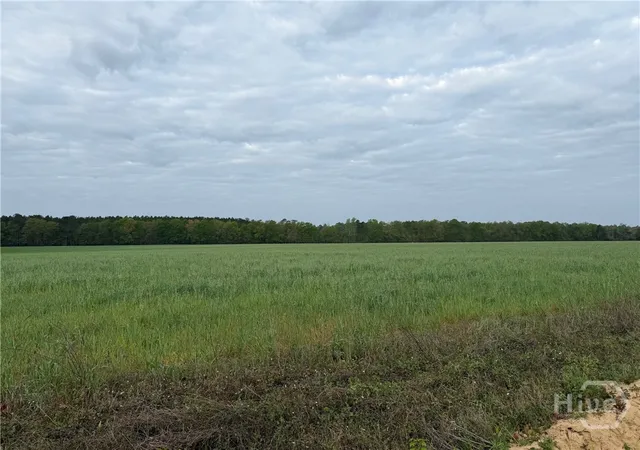 Homes for sale in Springfield, GA | 01 Springfield Egypt Rd, Springfield, GA 31329 | MLS# SA352548