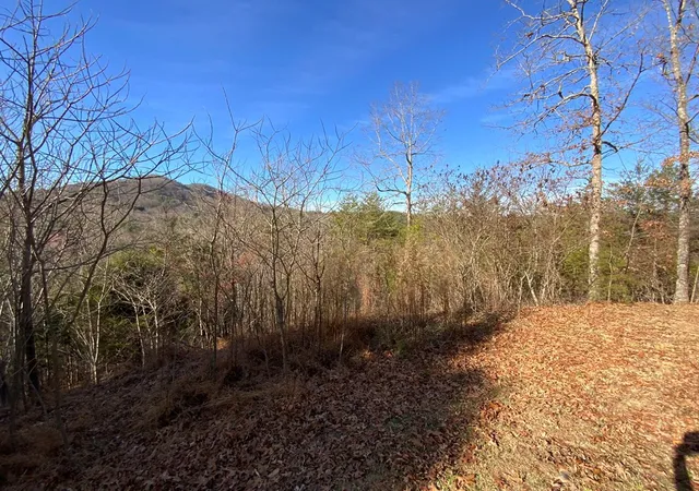 Photo 2 of Land for sale at 00 Brasstown View, Murphy, NC 28906 | MLS# 98525037 | Listing updated on 2026-06-02