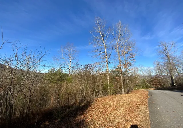 Photo 3 of Land for sale at 00 Brasstown View, Murphy, NC 28906 | MLS# 98525037 | Listing updated on 2026-06-02