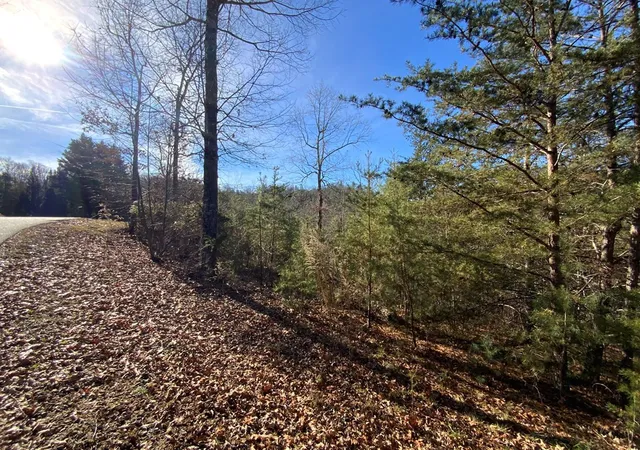 Photo 4 of Land for sale at 00 Brasstown View, Murphy, NC 28906 | MLS# 98525037 | Listing updated on 2026-06-02