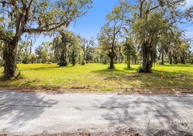 Homes for sale in Midway, GA | Lot 24 Bermuda Bluff Ln, Midway, GA 31320 | MLS# SA347941