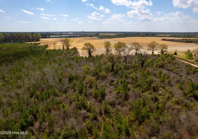 Photo 36 of Land for sale at 0 Devane Farm Rd, Harrells, NC 28444 | MLS# 100590427 | Listing updated on 2026-08-18