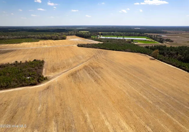 Photo 4 of House for sale at 0 Devane Farm Rd, Harrells, NC 28444 | MLS# 100590427 | Listing updated on 2026-08-18