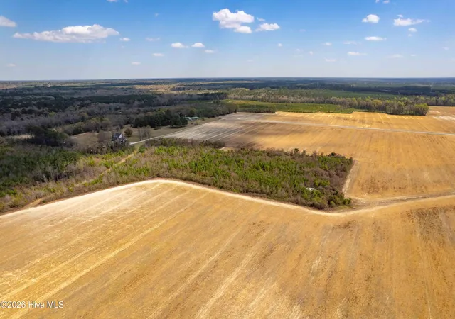 Photo 5 of House for sale at 0 Devane Farm Rd, Harrells, NC 28444 | MLS# 100590427 | Listing updated on 2026-08-18