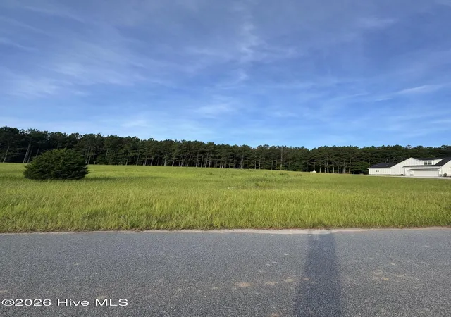 3rd image of 415 Arthur Grimaud Wy, Appling, GA 30802 | MLS# 100586889