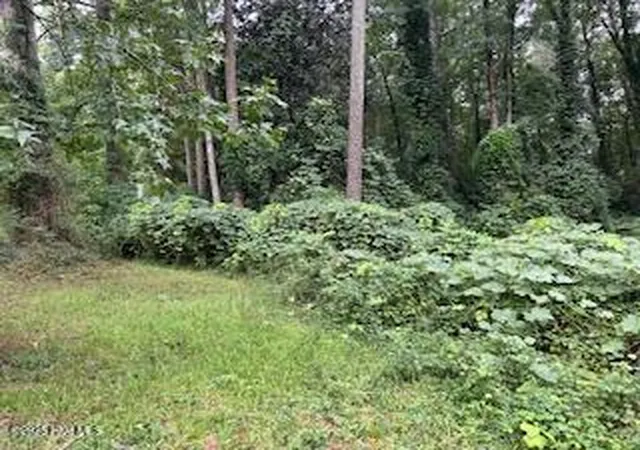 Homes for sale in Kenansville, NC | 0 W Grove Cir, Kenansville, NC 28349 | MLS# 100523852
