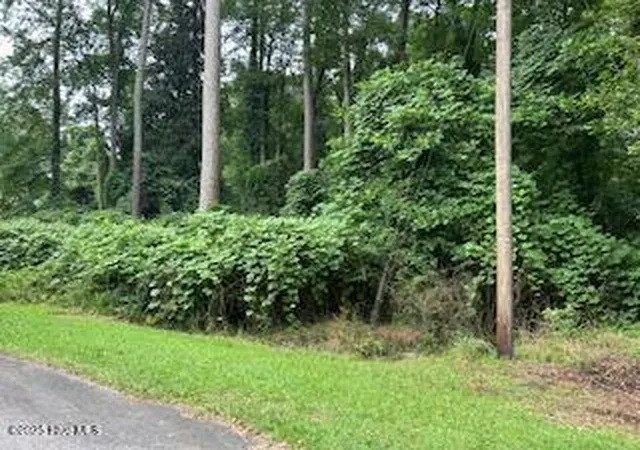 Homes for sale in Kenansville, NC | 0 W Grove Cir, Kenansville, NC 28349 | MLS# 100523852