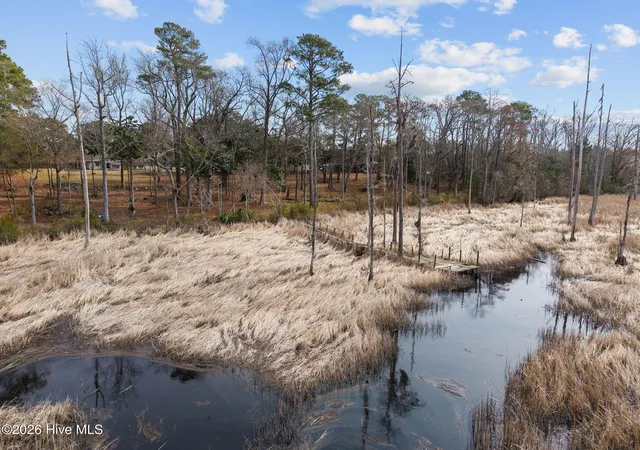 Photo 1 of Land for sale at 1405 Ness Dr, Castle Hayne, NC 28429 | MLS# 100589388 | Listing updated on 2026-07-16