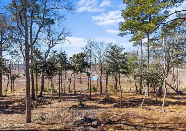 Photo 3 of Land for sale at 1405 Ness Dr, Castle Hayne, NC 28429 | MLS# 100589388 | Listing updated on 2026-07-16