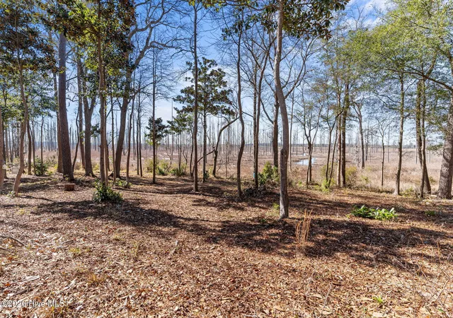 Photo 4 of Land for sale at 1405 Ness Dr, Castle Hayne, NC 28429 | MLS# 100589388 | Listing updated on 2026-07-16