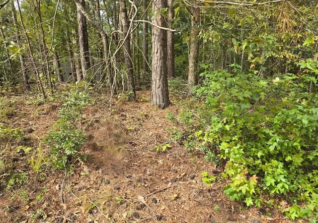 1st image of Lt 5 Bk 23 Brassie Dr, Mc Cormick, SC 29835 | MLS# 98225095