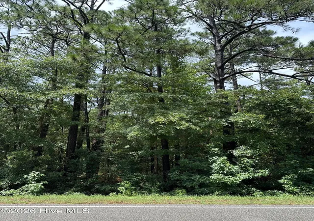 Photo 12 of Land for sale at 212 Golden Rd, Wilmington, NC 28409 | MLS# 100594772 | Listing updated on 2026-08-18