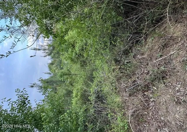 Photo 1 of Land for sale at 000 Duke Rd, Castalia, NC 27816 | MLS# 100587053 | Listing updated on 2026-07-16