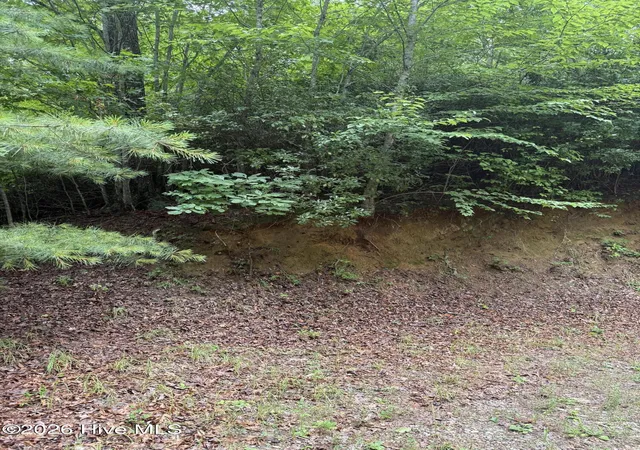 Photo 2 of Land for sale at Lot 3 Mountain Vista Ln, Topton, NC 28781 | MLS# 100593359 | Listing updated on 2026-08-18