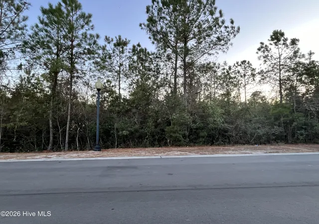 Photo 2 of Land for sale at 2957 Old Berwick St Sw, Shallotte, NC 28470 | MLS# 100594145 | Listing updated on 2026-08-05