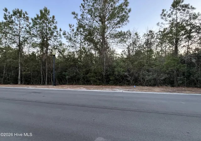 Photo 3 of Land for sale at 2957 Old Berwick St Sw, Shallotte, NC 28470 | MLS# 100594145 | Listing updated on 2026-08-05