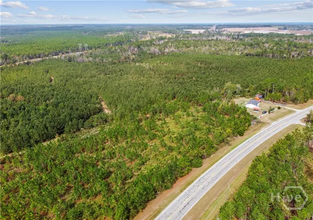 Homes for sale in Soperton, GA | 0 Hwy 297   Tracts 4 & 5, Soperton, GA 30457 | MLS# SA343296