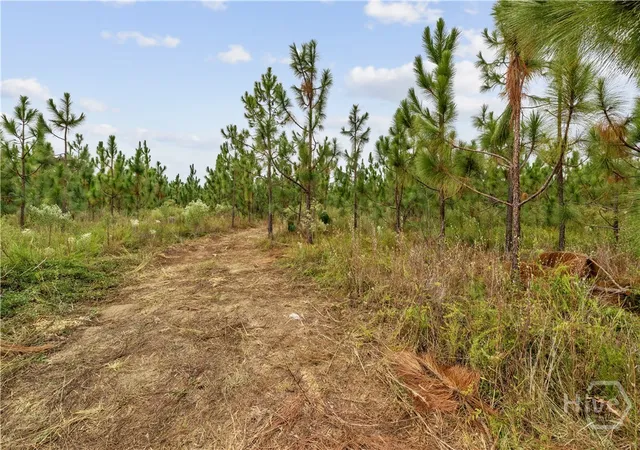 Homes for sale in Soperton, GA | 0 Hwy 297   Tracts 4 & 5, Soperton, GA 30457 | MLS# SA343296