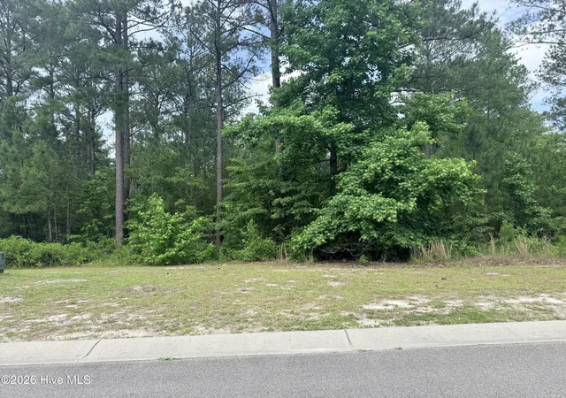 Photo 1 of Land for sale at 3781 Hallmark Rd Ne, Leland, NC 28451 | MLS# 100556846 | Listing updated on 2026-09-03