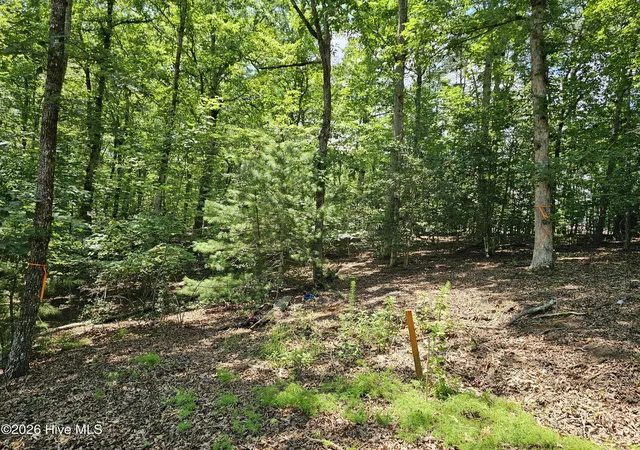 Photo 1 of Land for sale at Lot 10 Bobcat Ln, Murphy, NC 28906 | MLS# 100587331 | Listing updated on 2026-07-10