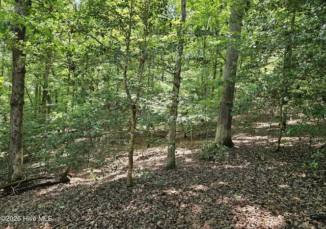 Photo 3 of Land for sale at Lot 10 Bobcat Ln, Murphy, NC 28906 | MLS# 100587331 | Listing updated on 2026-07-10