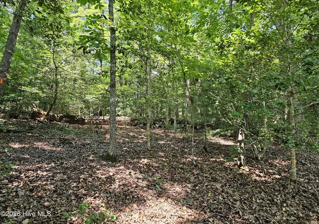Photo 3 of Land for sale at Lot 10 Bobcat Ln, Murphy, NC 28906 | MLS# 100587331 | Listing updated on 2026-07-10