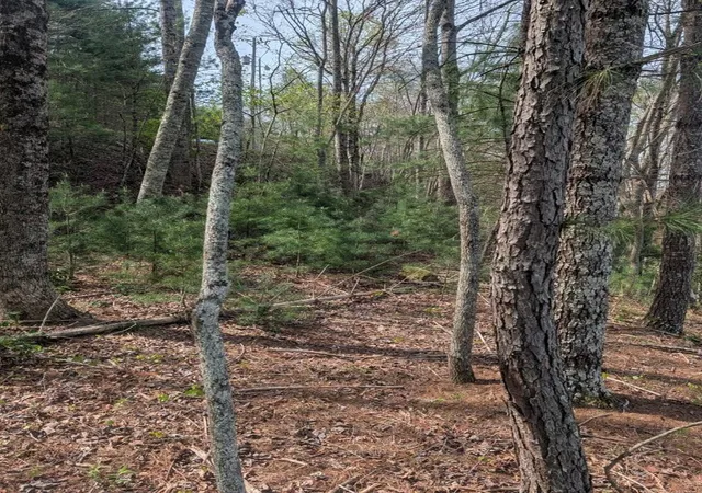 Photo 3 of Land for sale at Lt 7a Lake Appalachia Acres Dr, Murphy, NC 28906 | MLS# 98544131 | Listing updated on 2026-07-29