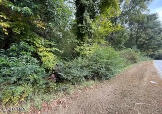 Photo 4 of Land for sale at 2 Galestown Rd, Rockingham, NC 28379 | MLS# 100531197 | Listing updated on 2026-07-30