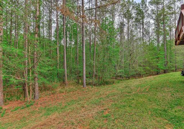 Homes for sale in Lincolnton, GA | 1067 Maiden Cane Wy, Lincolnton, GA 30817 | MLS# 98255876