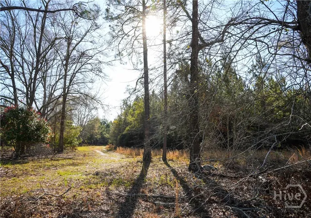 1st image of 0 Clifton Road, Statesboro, GA 30458 | MLS# SA349837