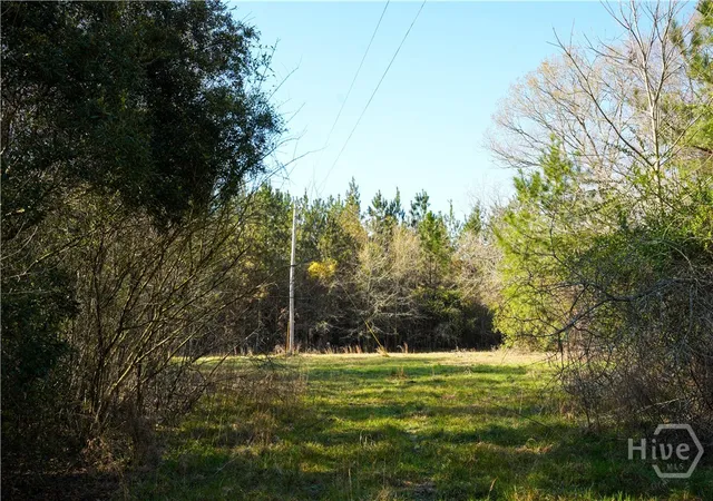 23rd image of 0 Clifton Road, Statesboro, GA 30458 | MLS# SA349837