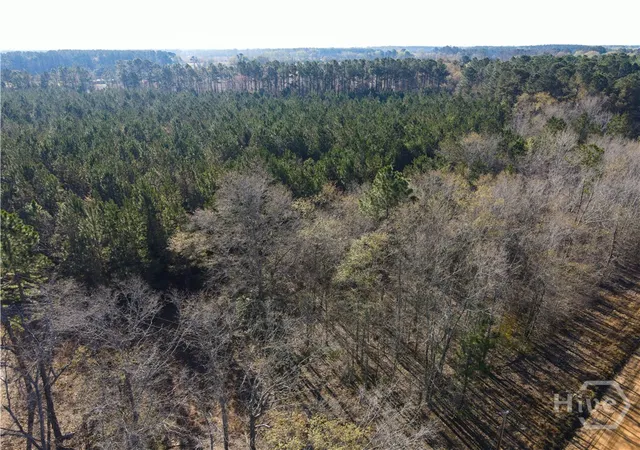 2nd image of 0 Clifton Road, Statesboro, GA 30458 | MLS# SA349837