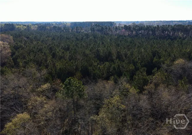 3rd image of 0 Clifton Road, Statesboro, GA 30458 | MLS# SA349837