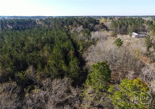 4th image of 0 Clifton Road, Statesboro, GA 30458 | MLS# SA349837