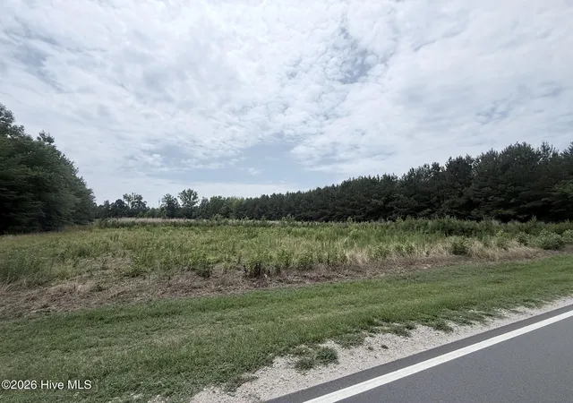 Photo 4 of Land for sale at 0 E Jewett Ave, Bunn, NC 27508 | MLS# 100584700 | Listing updated on 2026-08-18