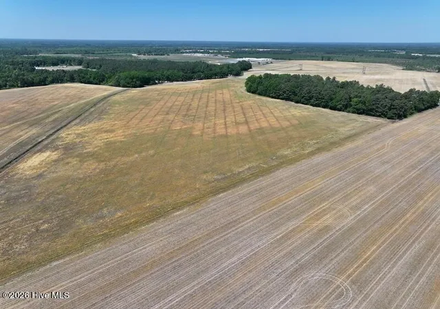 Photo 1 of Land for sale at Tbd N Duffie Rd, Red Springs, NC 28377 | MLS# 100580501 | Listing updated on 2026-08-18