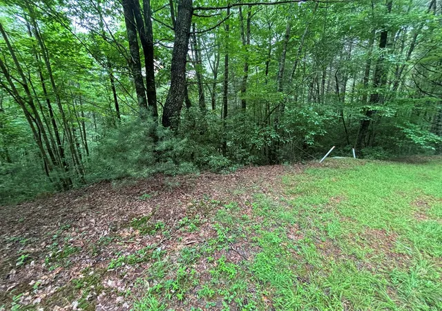 11th image of Lot 11 Horse Camp Dr, Hayesville, NC 28904 | MLS# 98544683