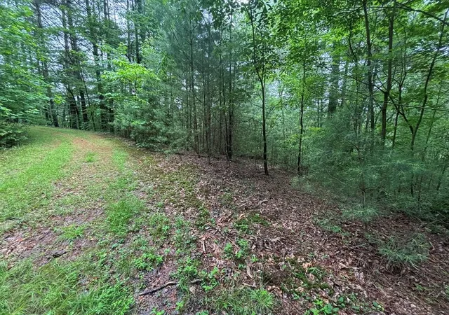 1st image of Lot 11 Horse Camp Dr, Hayesville, NC 28904 | MLS# 98544683