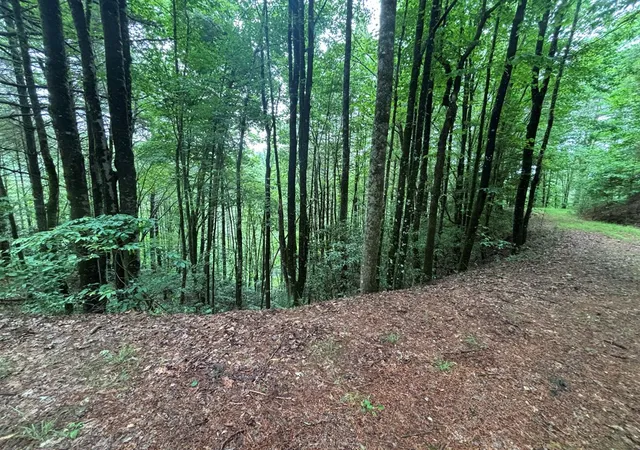 2nd image of Lot 11 Horse Camp Dr, Hayesville, NC 28904 | MLS# 98544683