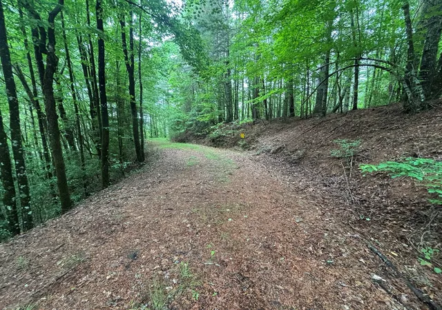Photo 3 of Land for sale at Lot 11 Horse Camp Dr, Hayesville, NC 28904 | MLS# 98544683 | Listing updated on 2026-06-02
