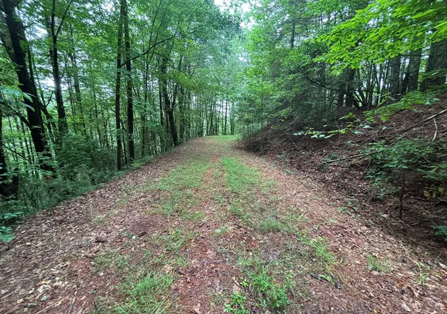 Photo 3 of Land for sale at Lot 11 Horse Camp Dr, Hayesville, NC 28904 | MLS# 98544683 | Listing updated on 2026-06-02