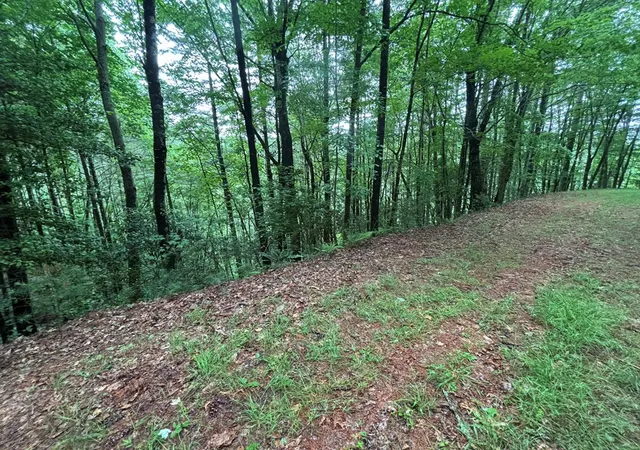Photo 4 of Land for sale at Lot 11 Horse Camp Dr, Hayesville, NC 28904 | MLS# 98544683 | Listing updated on 2026-06-02
