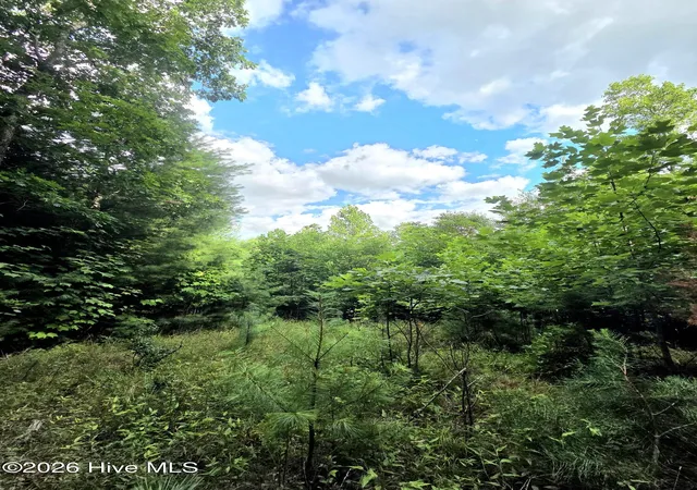 Photo 16 of Land for sale at 50 Camp Branch Rd, Topton, NC 28781 | MLS# 100590283 | Listing updated on 2026-07-31